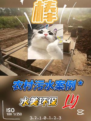 林州任村美丽乡村生活污水处理项目设备安装流程实拍